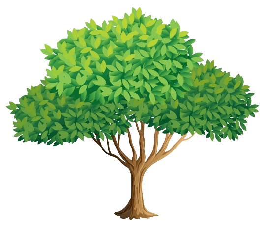 MyGreenResort-Tree