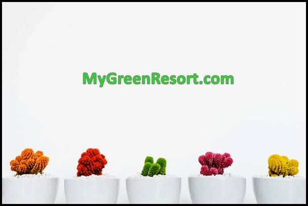 MyGreenResort – Premier Online Plant Shop In UAE